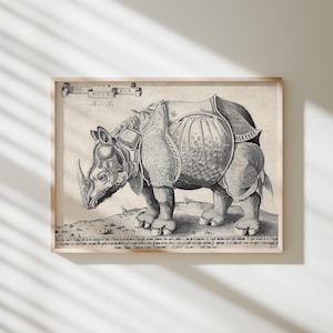 Könnte beinhalten: Ein historischer Schwarz-Weiß-Druck eines Nashorns mit strukturierter, rüstungsartiger Haut. Das Bild zeigt den Text RHINOCERUS und E.V. oben sowie eine detaillierte lateinische Inschrift am unteren Rand, eingefasst in einen hellen Holzrahmen.