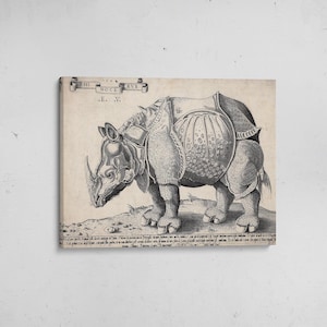 Könnte beinhalten: Ein schwarz-weißer Druck eines Nashorns mit gepanzerten Hautplatten, das auf einem strukturierten Boden steht. Das Bild zeigt oben ein Banner mit dem Text RHINOCERUS und E.V. sowie einen Block mit beschreibendem Text am unteren Rand.
