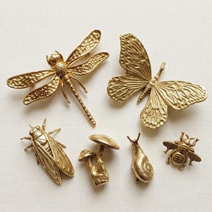 Puede incluir: Un conjunto de seis broches de metal dorado con forma de libélula, mariposa, cigarra, dos setas, un caracol y una abeja. Cada pieza presenta un acabado metálico texturizado con grabados detallados que representan las formas naturales.