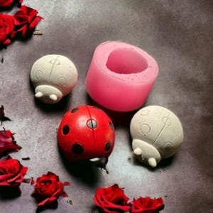 S0022 Silicone mold beetle ladybug 5 cm mold