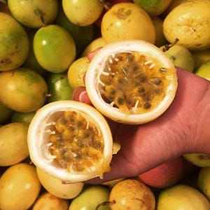 May include: A close-up of passion fruit, with one fruit cut open to reveal the pulp and seeds. The fruit is yellow and green, with a white rind. The background is filled with whole passion fruits.