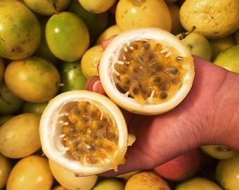 May include: A close-up of passion fruit, with one fruit cut open to reveal the pulp and seeds. The fruit is yellow and green, with a white rind. The background is filled with whole passion fruits.