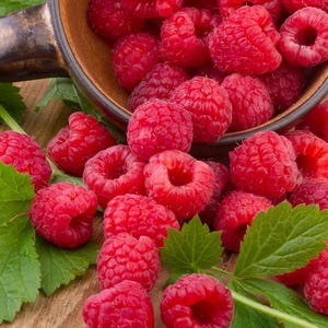 May include: A close-up shot of bright red raspberries spilling from a brown bowl onto a wooden surface. Green leaves are scattered among the berries. The raspberries are ripe and juicy, with a slightly textured surface.
