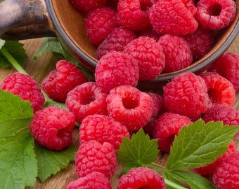 May include: A close-up shot of bright red raspberries spilling from a brown bowl onto a wooden surface. Green leaves are scattered among the berries. The raspberries are ripe and juicy, with a slightly textured surface.