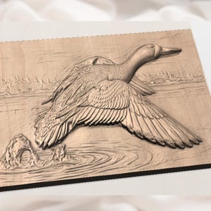Flying Duck 3D Relief STL File view 2