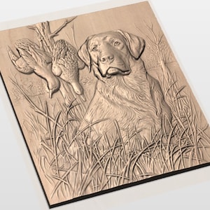 Duck Hunting Lab 3D Relief STL view 2