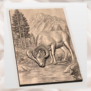 Bighorn Sheep 3D Relief STL view 3