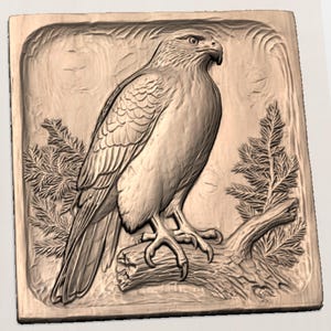 Hawk Relief File view 2