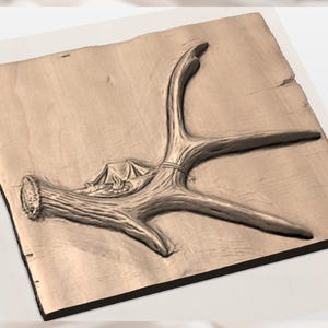 Deer Antler STL Relief view 3