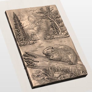 Beaver River Mountain 3D Relief STL view 3