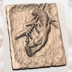 Squirrel Relief STL view 3