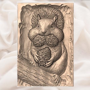 May include: A detailed relief carving of a squirrel holding two large nuts in its paws and mouth. The squirrel is perched on a tree branch, with a textured background. The artwork is in shades of brown and beige.