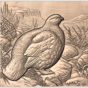 Partridge Bird STL Relief view 3