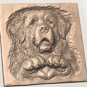 Bernese Dog STL view 3