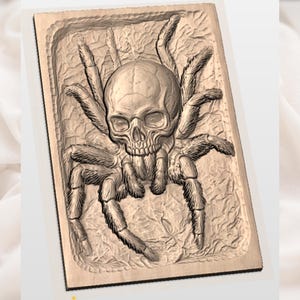 Spider Skull STL view 2