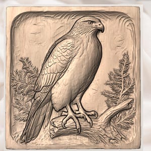 Hawk Relief File view 3