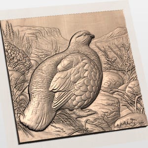 Partridge Bird STL Relief view 2