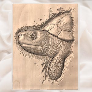 Sea Turtle 3D Relief STL view 3
