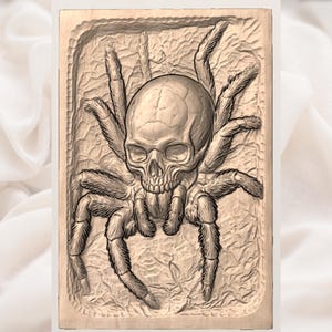 Spider Skull STL view 3