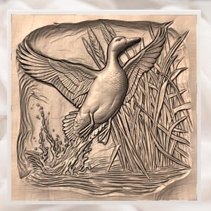Mallard Duck Landing 3D Relief STL view 3