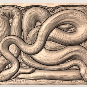 Coiled Snake 3D Relief STL view 3