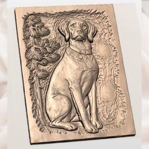Brittany Spaniel  Dog File view 2