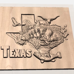 Texas Map 3D STL Relief view 3