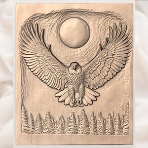Bald Eagle Moon 3D Relief STL view 3