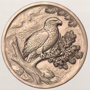 Round Bald Eagle STL view 2
