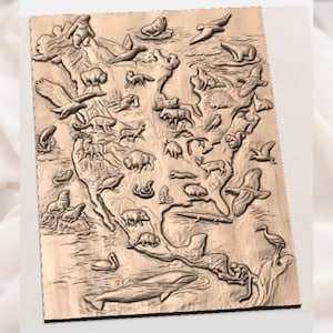 United States Map STL Relief view 2
