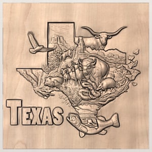 Texas Map 3D STL Relief view 2