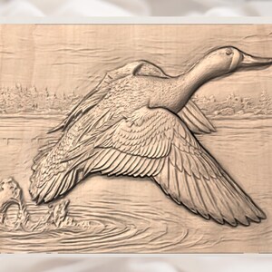 Flying Duck 3D Relief STL File view 3