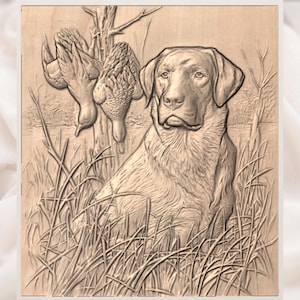 Duck Hunting Lab 3D Relief STL view 3
