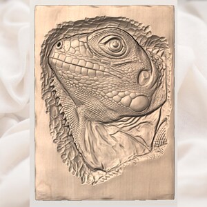 Iguana Lizard 3D Relief STL view 3