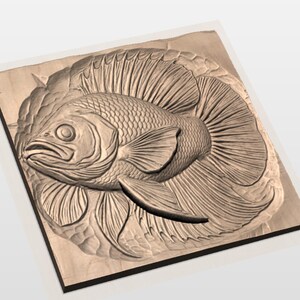 Betta Fish STL 3D Relief view 2