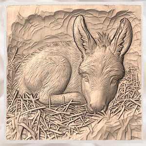 Baby Donkey 3D Relief STL for CNC Router view 2