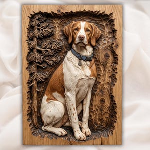 Brittany Spaniel  Dog File view 1