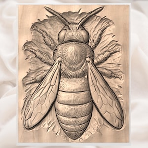 Honey Bee Relief STL view 2