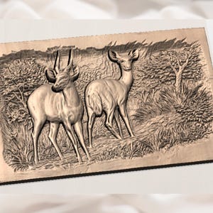 Antelope Pair STL view 3