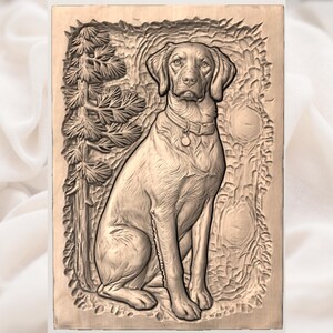 Brittany Spaniel  Dog File view 3