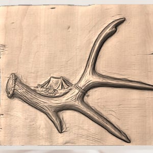 Deer Antler STL Relief view 2