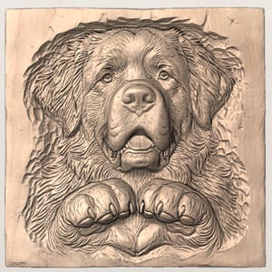 Bernese Dog STL view 2