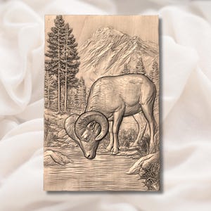Bighorn Sheep 3D Relief STL view 2