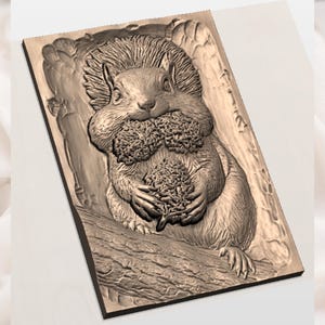 May include: A rectangular wooden plaque featuring a detailed relief carving of a squirrel holding a cluster of nuts. The squirrel is depicted on a tree branch, with intricate details in its fur and the surrounding foliage. The plaque has a natural wood tone.