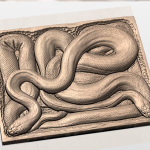 Coiled Snake 3D Relief STL view 2