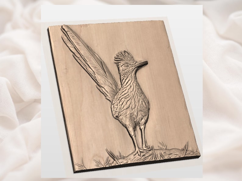 Op de afbeelding: Een houten reli&euml;fsnijwerk van een renvogel. De vogel is in profiel afgebeeld, met gedetailleerde veren en een lange staart. Het snijwerk is gemonteerd op een rechthoekige houten plaat met een donkere rand. De renvogel staat op een grasveld.