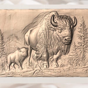 American Buffalo 3D STL File view 2