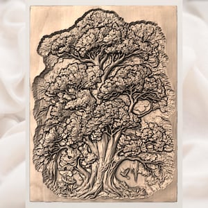Old Oak File view 3