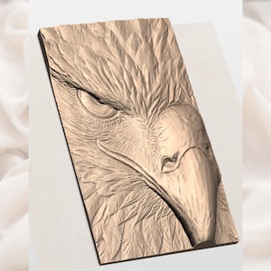 Bald Eagle Head STL 3D Relief view 3