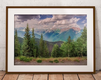 Colorado-Wandbild, Aspen-Baumgrenze in den Rocky Mountains, Panorama-Leinwanddruck